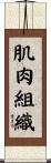 肌肉組織 Scroll