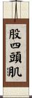 股四頭肌 Scroll