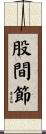 股間節 Scroll
