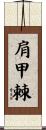 肩甲棘 Scroll