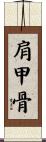 肩甲骨 Scroll
