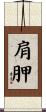 肩胛 Scroll