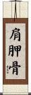 肩胛骨 Scroll