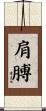 肩膊 Scroll