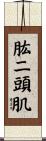 肱二頭肌 Scroll