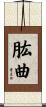 肱曲 Scroll