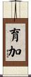 育加 Scroll