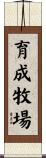 育成牧場 Scroll