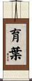 育葉 Scroll