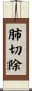 肺切除 Scroll