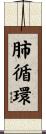 肺循環 Scroll