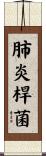 肺炎桿菌 Scroll