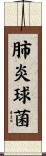 肺炎球菌 Scroll