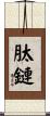 肽鏈 Scroll