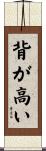 背が高い Scroll