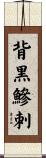 背黒鰺刺 Scroll