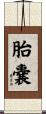 胎嚢 Scroll