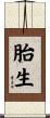 胎生 Scroll