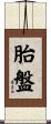 胎盤 Scroll