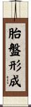 胎盤形成 Scroll