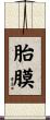 胎膜 Scroll