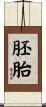 胚胎 Scroll