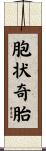 胞状奇胎 Scroll