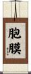 胞膜 Scroll