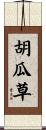 胡瓜草 Scroll