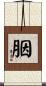 胭 Scroll