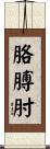胳膊肘 Scroll