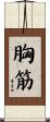 胸筋 Scroll