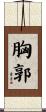 胸郭 Scroll
