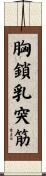 胸鎖乳突筋 Scroll
