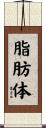脂肪体 Scroll