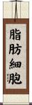 脂肪細胞 Scroll