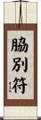 脇別符 Scroll