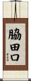脇田口 Scroll