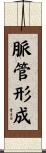 脈管形成 Scroll