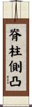 脊柱側凸 Scroll