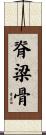 脊梁骨 Scroll