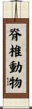 脊椎動物 Scroll