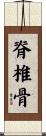 脊椎骨 Scroll