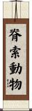 脊索動物 Scroll