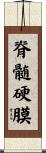 脊髄硬膜 Scroll