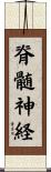 脊髄神経 Scroll