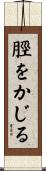脛をかじる Scroll