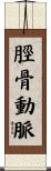 脛骨動脈 Scroll