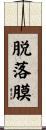 脱落膜 Scroll