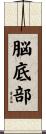 脳底部 Scroll